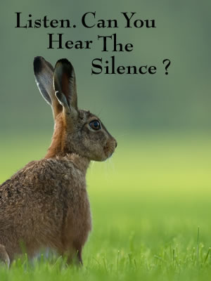 Listen, Can You Hear The Silence