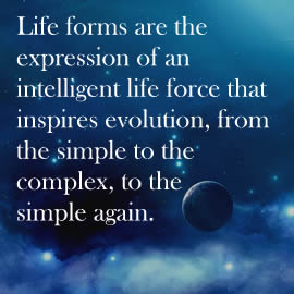 Life forms are the expression of an intelligent life force that inspires evolution, from the simple to the complex, to the simple again.