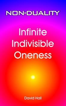 Non-Duality - Infinite Indivisible Oneness book cover